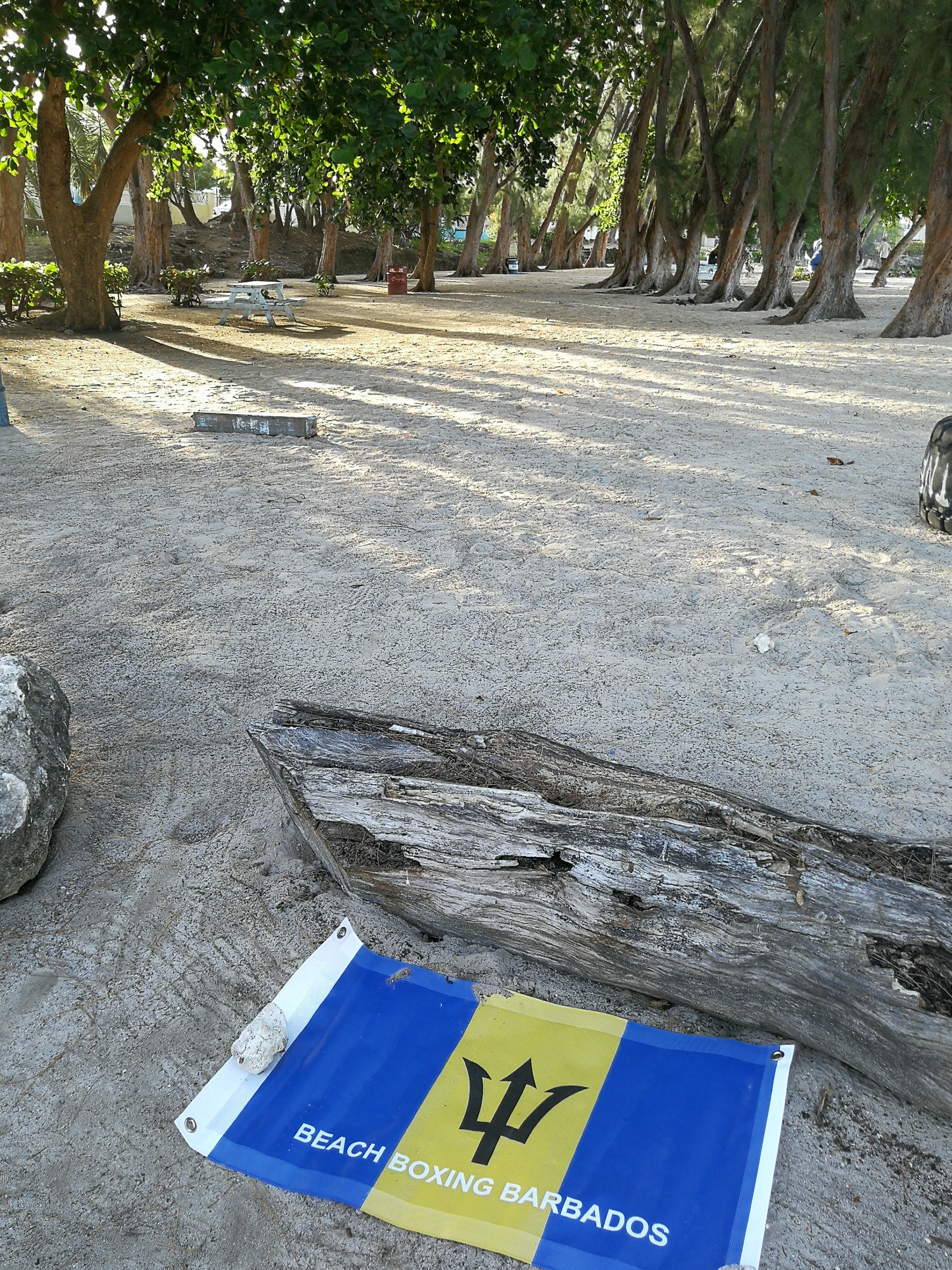 Enterprise Beach